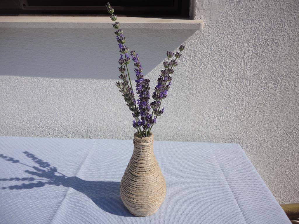 Guesthouse Apartment Bozica Bol Luaran gambar